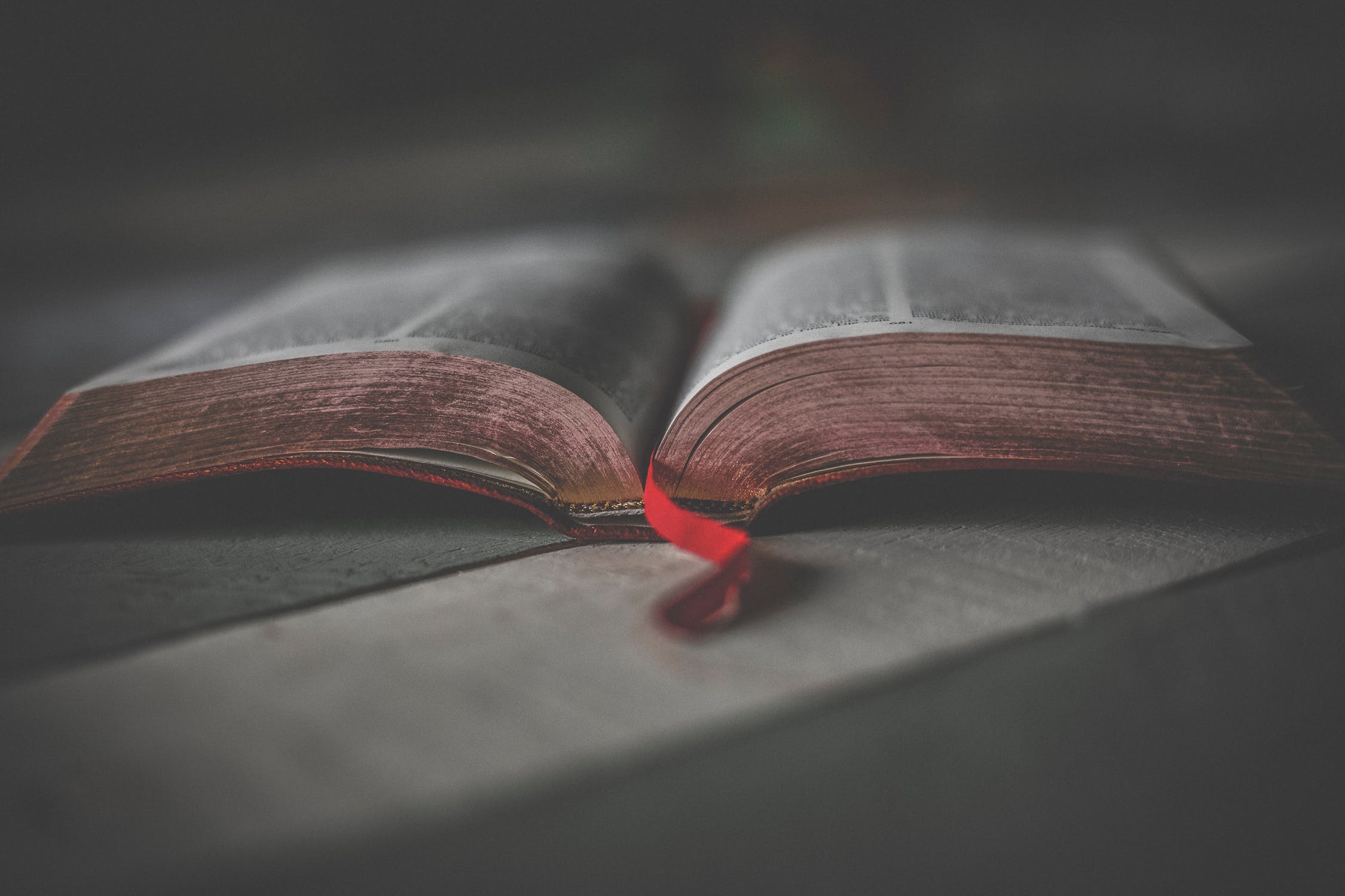 pocket bible