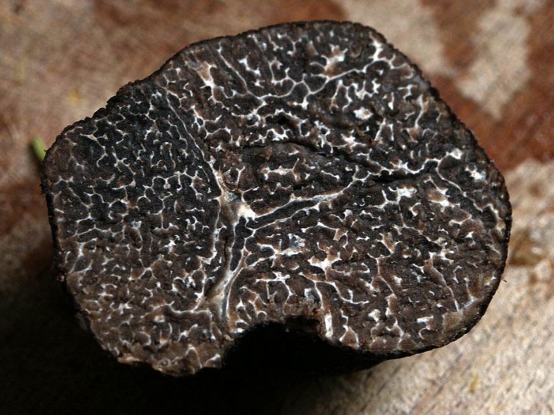inside a black truffle