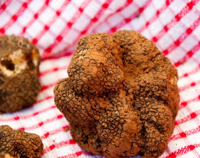 whitish truffle