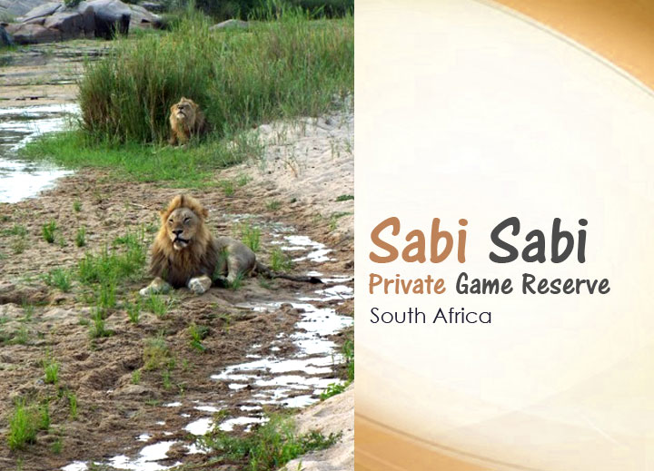 Sabi-Sabi-Private-Game-Reserve
