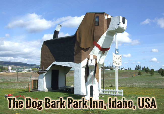 The-Dog-Bark-Park-Inn-Idaho-USA