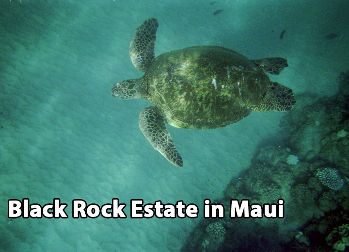 Black-Rock-Estate-in-Maui