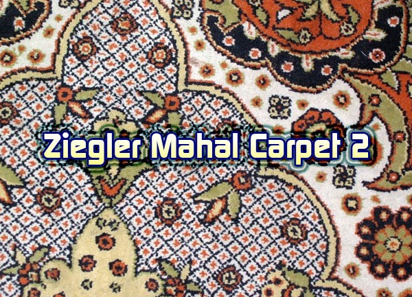 Ziegler Mahal Carpet 2