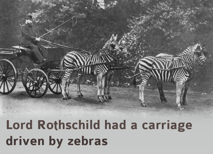 Lord-Rothschild-had-a-carri