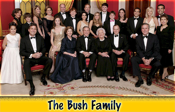 7-the-bush-family