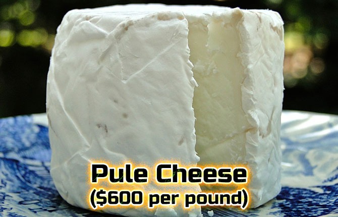 3-pule-cheese