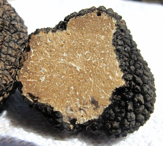 inside a summer truffle