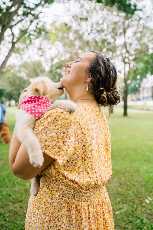 5 High-End Dog Dressing Tips For Discerning Pet Owners